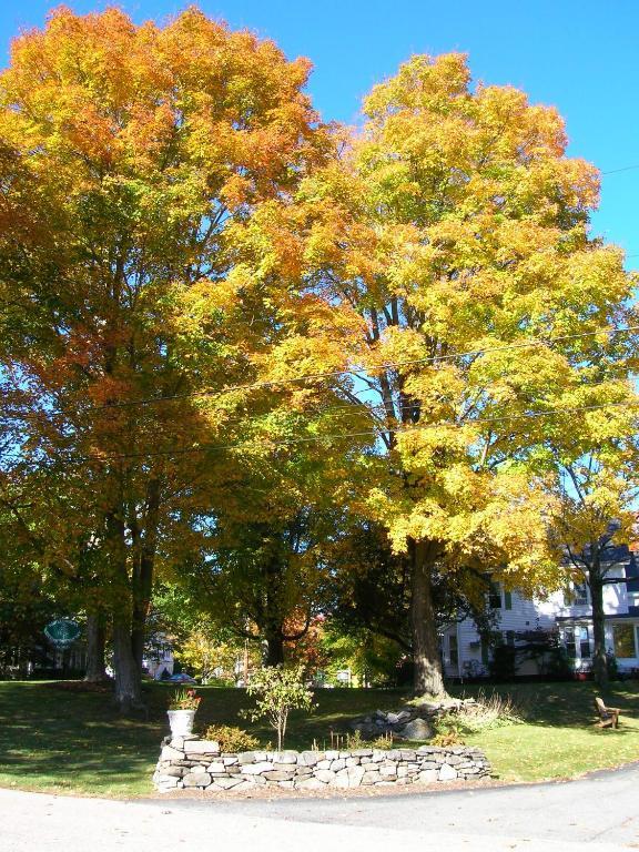 White Cedar Inn Bed And Breakfast Freeport Exterior foto